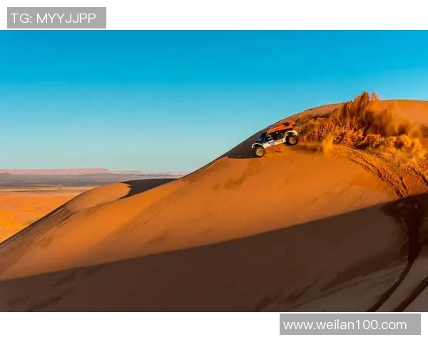 广州极限运动队引领风潮最新极限运动速度排行榜前十强揭晓